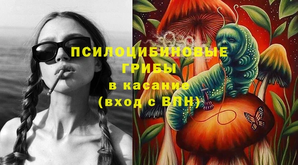 винт Алзамай